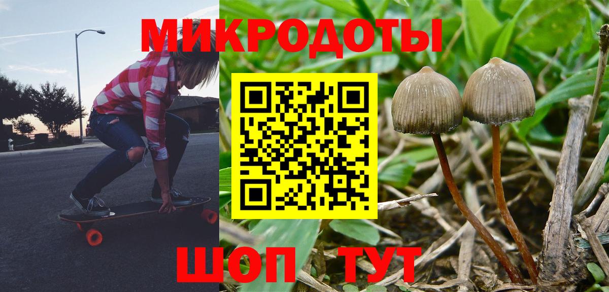 Псилоцибиновые грибы прущие грибы Минусинск