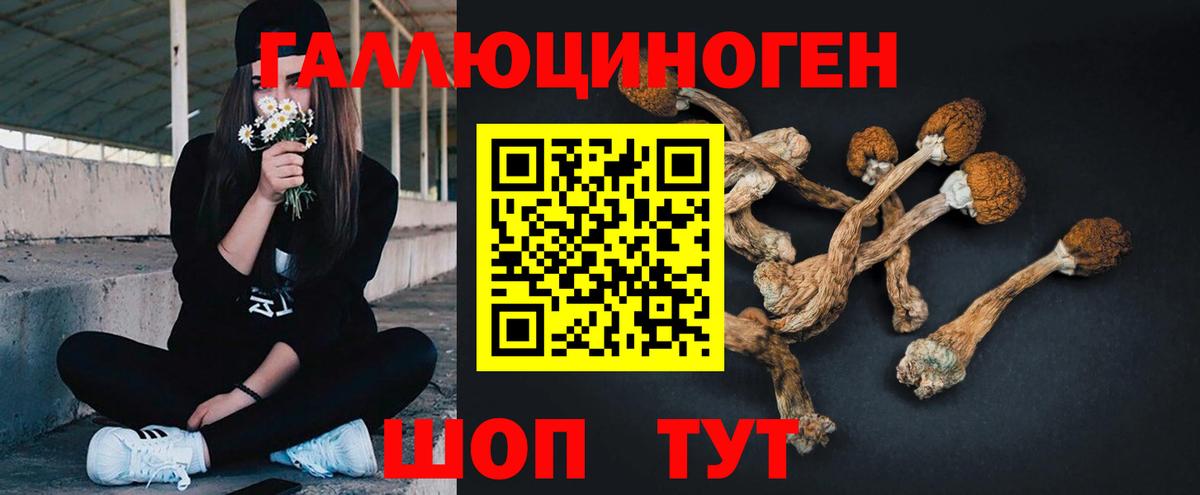 Галлюциногенные грибы GOLDEN TEACHER  Вход с VPN  Галлюциногенные грибы GOLDEN TEACHER  Минусинск 